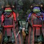 Donatello & Raphael 2-PACK