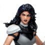 Donna Troy Build A