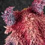 Donquixote Doflamingo Heavenly Demon SA-Maximum Excellent Model P.O.P