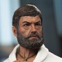 Dr. Leonard McCoy