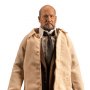 Dr. Loomis