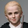 Draco Malfoy Standard