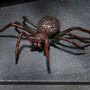 Dracula Accessory Pack