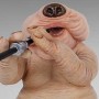 Droopy McCool (studio)