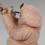 Droopy McCool (studio)