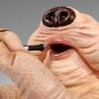 Droopy McCool (studio)