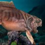 Dunkleosteus Wonders Of Wild Series