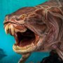 Dunkleosteus Wonders Of Wild Series