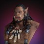 Warcraft The Beginning: Durotan (SDCC 2016)