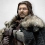 Eddard Stark