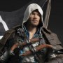 Edward Kenway Animus