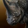 Elasmotherium Rhino Black Wonders Of Wild Series