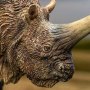 Elasmotherium Rhino Brown Wonders Of Wild Series