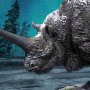 Elasmotherium Rhino Winter Wonders Of Wild Series