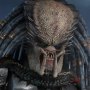 Elder Predator