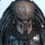 Elder Predator