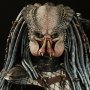 Elder Predator