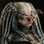 Elder Predator