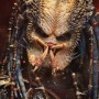 Elder Predator 2