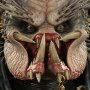 Elder Predator (Sideshow)