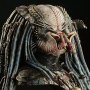 Elder Predator (Sideshow)