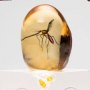 Jurassic Park: Elephant Mosquito In Amber