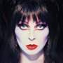 Books: Elvira Mistress Of The Dark