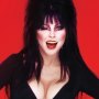 Elvira Mistress Of The Dark