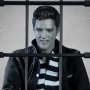 Elvis Presley Jailhouse Rock Legends