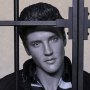 Elvis Presley Jailhouse Rock Legends