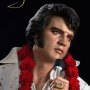 Elvis Aaron Presley