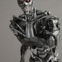 Endoskeleton