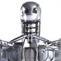 Endoskeleton