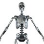 Bodies: Endoskeleton Stainless Steel MARK 1