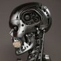 Endoskeleton Skull