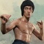 Bruce Lee: Bruce Lee Enter The Dragon