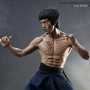 Bruce Lee: Bruce Lee Enter The Dragon