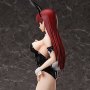 Erza Scarlet Bare Leg Bunny