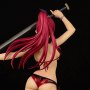 Erza Scarlet Swimwear Gravure Style Fire