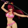 Erza Scarlet Swimwear Gravure Style Sakura