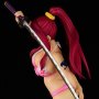 Erza Scarlet Swimwear Gravure Style Sakura