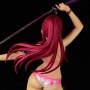 Erza Scarlet Swimwear Gravure Style Sakura