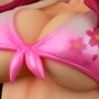 Erza Scarlet Swimwear Gravure Style Sakura