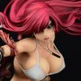 Erza Scarlet The Knight