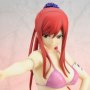 Erza Scarlet Swimsuit