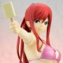 Erza Scarlet Swimsuit