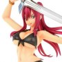 Erza Scarlet Swimwear Gravure Style