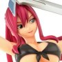 Erza Scarlet Swimwear Gravure Style