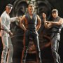 Cobra Kai Series 1