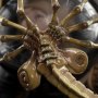 Facehugger Mini Epics